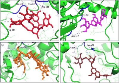 Discovering Potential RNA Dependent RNA Polymerase Inhibitors as Prospective Drugs Against COVID-19: An in silico Approach